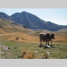 Górskie trasy w Parku Narodowym Durmitor – jedna z najlepszych tras motocyklowych w Europie podczas wyjazdu Caravana wyjazdy motocyklowe.
